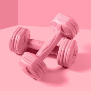Mini Dumbbells for Home Gym