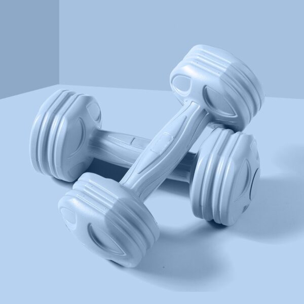 Home Workout Dumbbells
